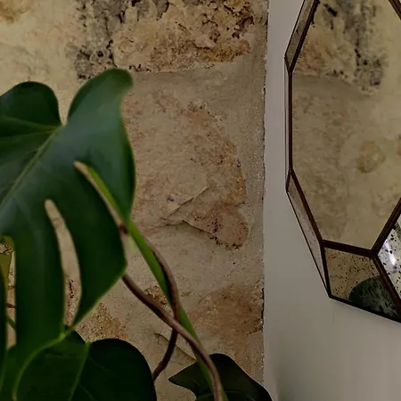 Armand, Vintage Et Moderne Appartement *
